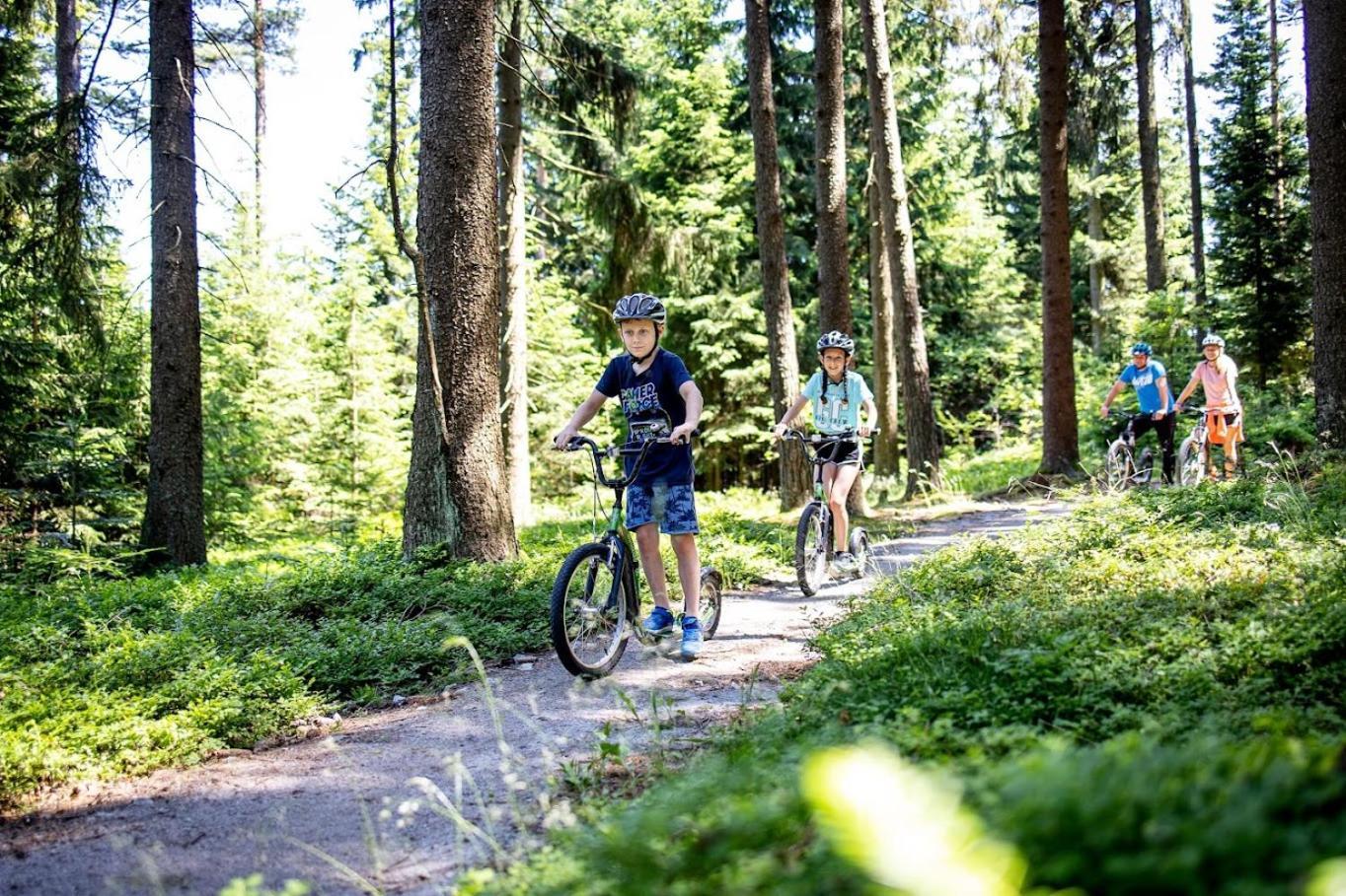 Korzo Lipno C Leilighet Lipno nad Vltavou Eksteriør bilde